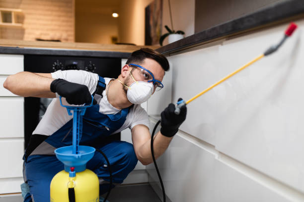 Reliable Melville, RI Pest Control Solutions