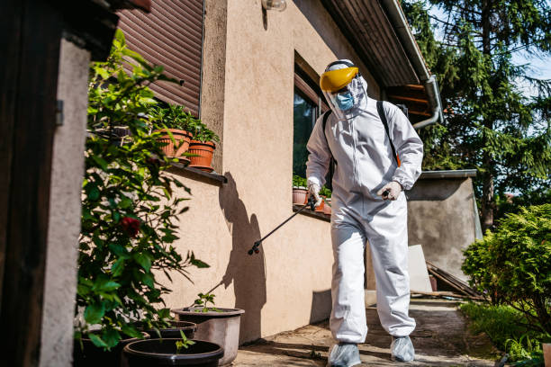 Best Affordable Exterminators  in Melville, RI