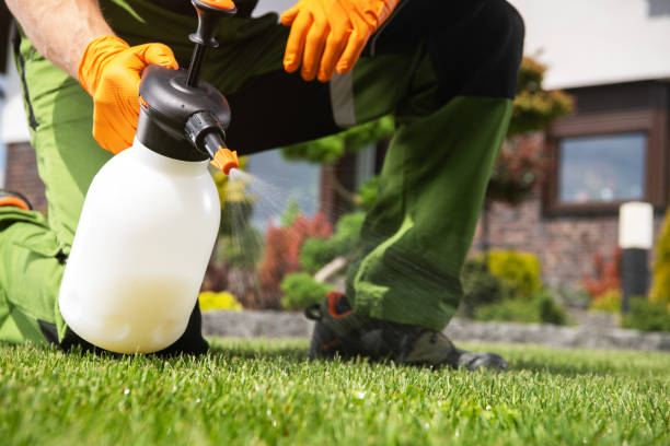 Best Rat Extermination Near Me  in Melville, RI