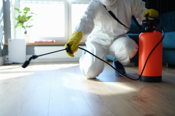 Best Flea Control Services  in Melville, RI