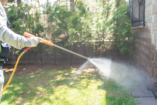 Best Spider Control Near Me  in Melville, RI