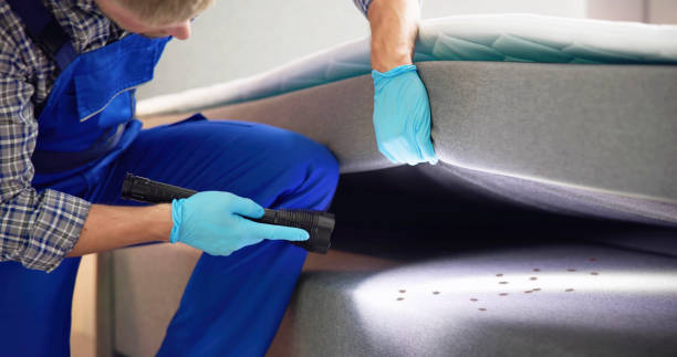 Best Residential Pest Control  in Melville, RI
