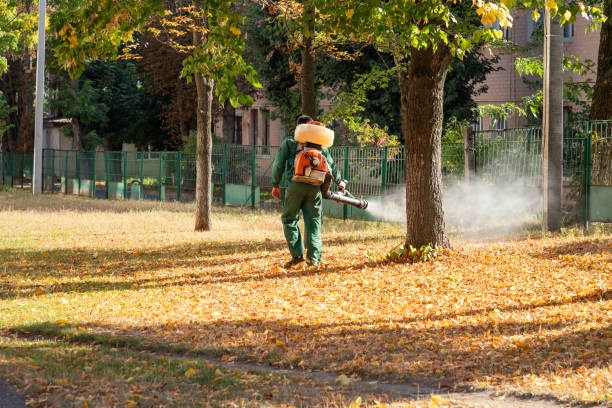 Best Termite Control Services  in Melville, RI