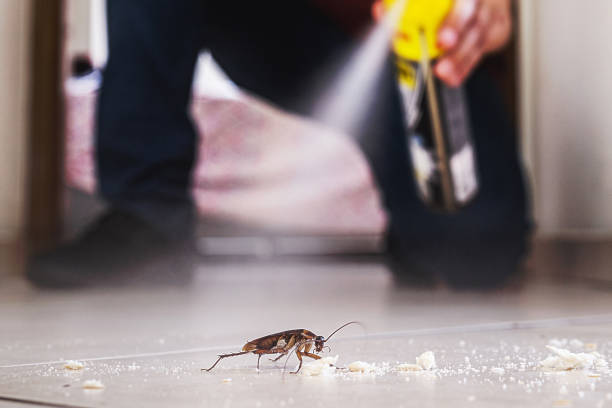 Best Best Pest Control Companies  in Melville, RI