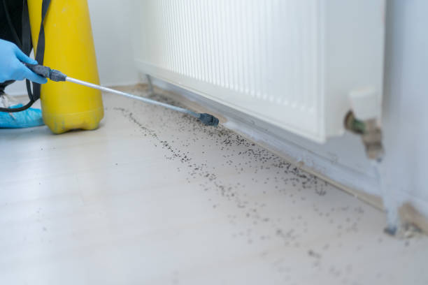 Best Best Pest Control Companies  in Melville, RI