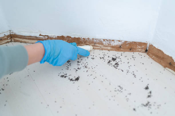 Best Pest Removal Services  in Melville, RI